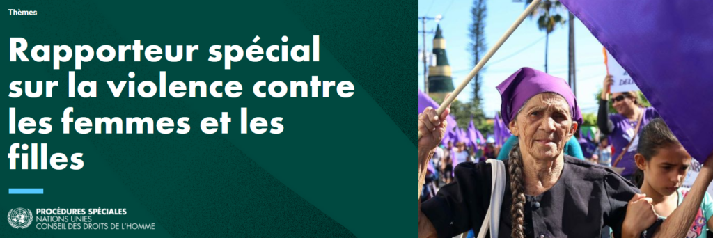 Rapporteur spécial de l'ONU sur la violence contre les femmes et les filles